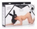 Tailz - 兔子尾巴後庭塞及面罩套裝 - 黑色 照片-4