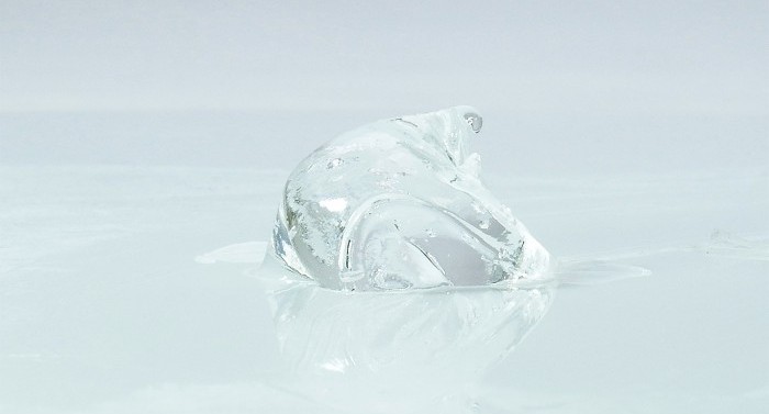 Queen Guarana, Placenta that makes women shine, ancient herb... SSI - Squirting Gel Women - 12g photo-2