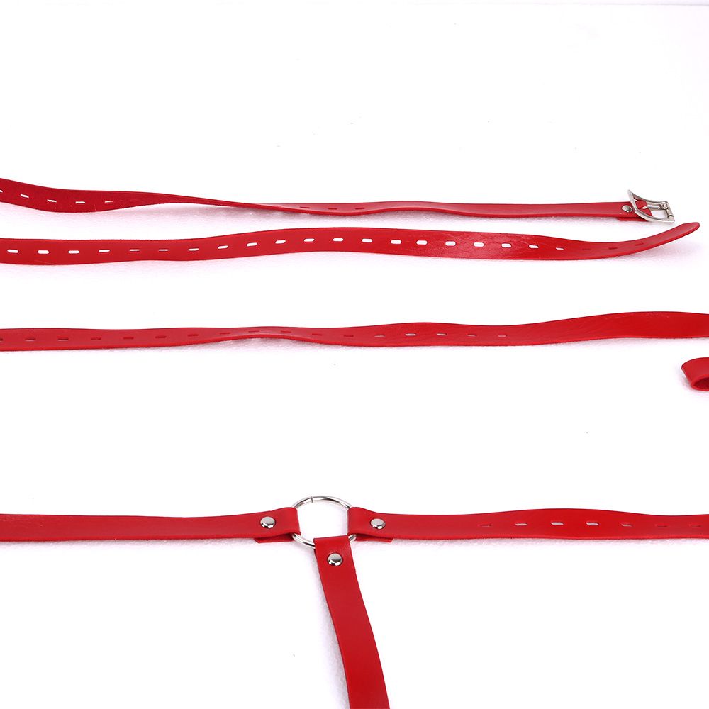MT - Leather Body Harness 3 photo-5