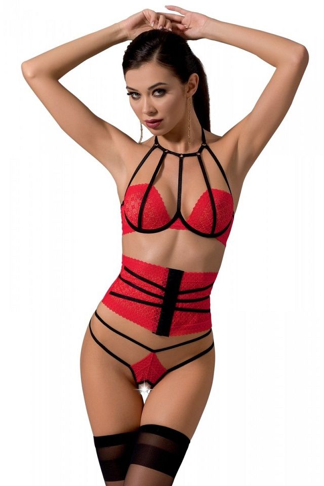 Passion - Akita Set - Red - L/XL photo