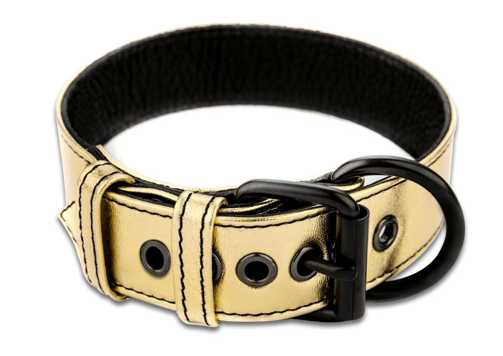 Lovetoy - Metallic Collar w Leash - Gold photo-4