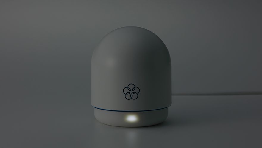 How do you lose yourself in pleasure?
It may be through vib... Iroha - Hana-Temari Massager photo-5