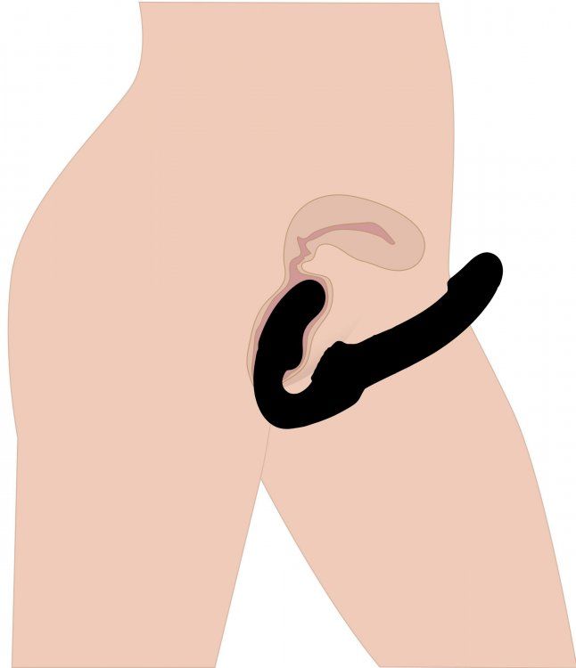 With this strap-free strap on dildo, there will be nothing b... Strap U - Revolver Strapless Strap On G-Spot - Black photo-5