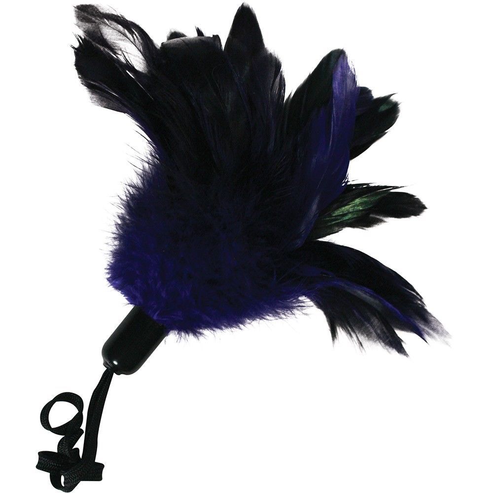 Sexperiments - Bound and Determined Kit - Black photo-4