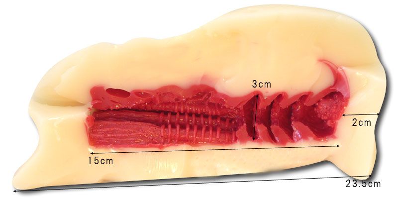 Maximize the performance of the uterus!
Those who like to b... A-One - Floor Oner Style Instruments Seeding Press - Hard photo-5