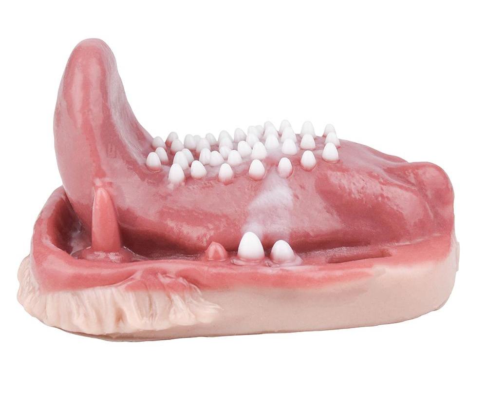 Fantasy realistic sex grinder
Length: 11.7cm
Width: 8.8cm
H... FAAK - Predator Vibro Grinder photo-8