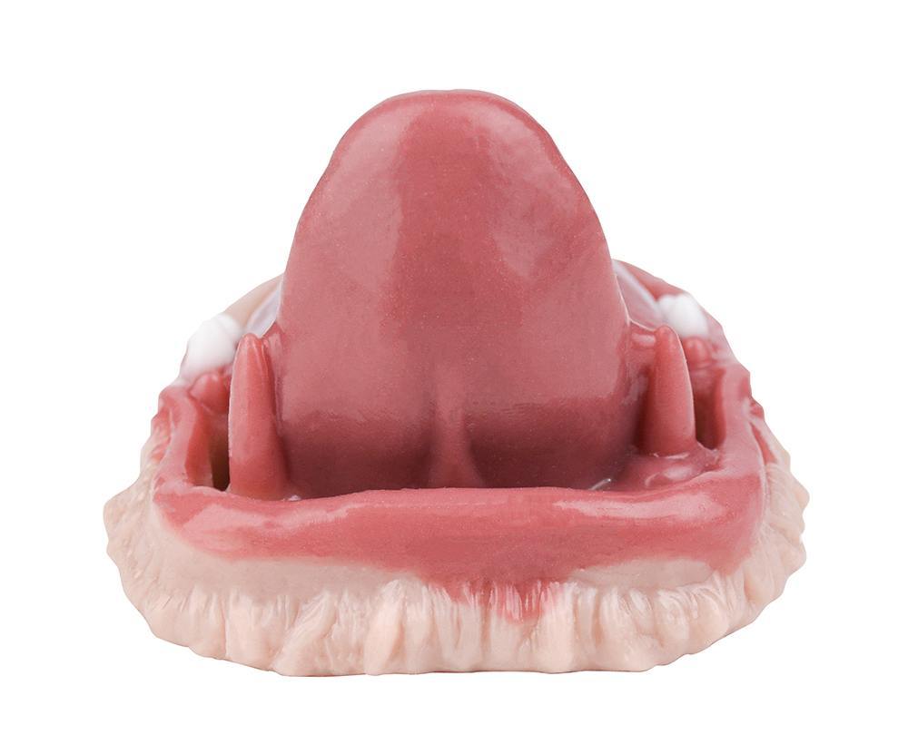 Fantasy realistic sex grinder
Length: 11.7cm
Width: 8.8cm
H... FAAK - Predator Vibro Grinder photo-6