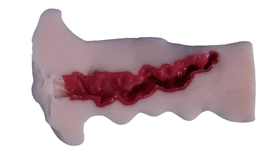 KMP - Perfect Imitation Mature Aoi Kasahara Masturbator photo-2