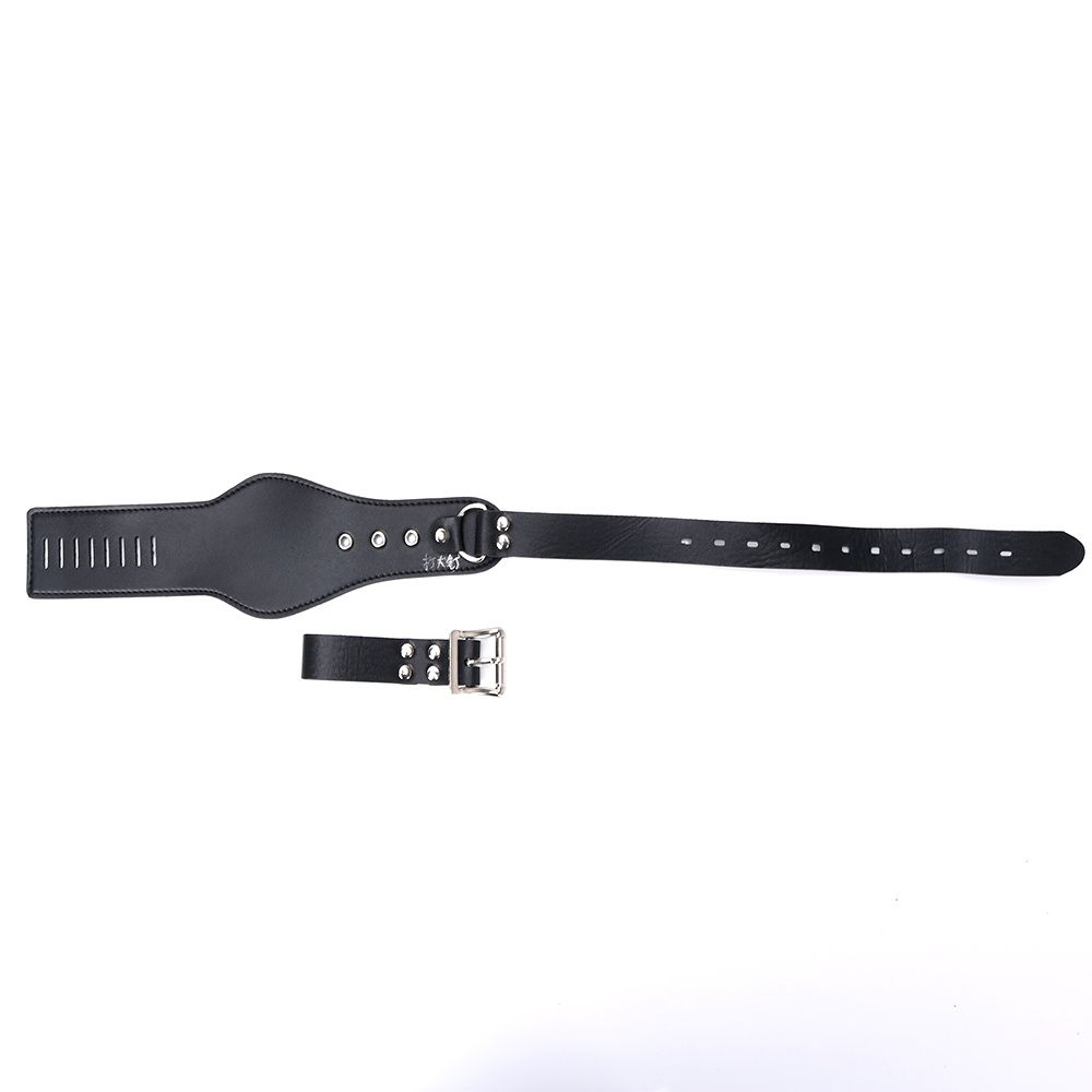 MT - 女用贞操带 2 照片-3