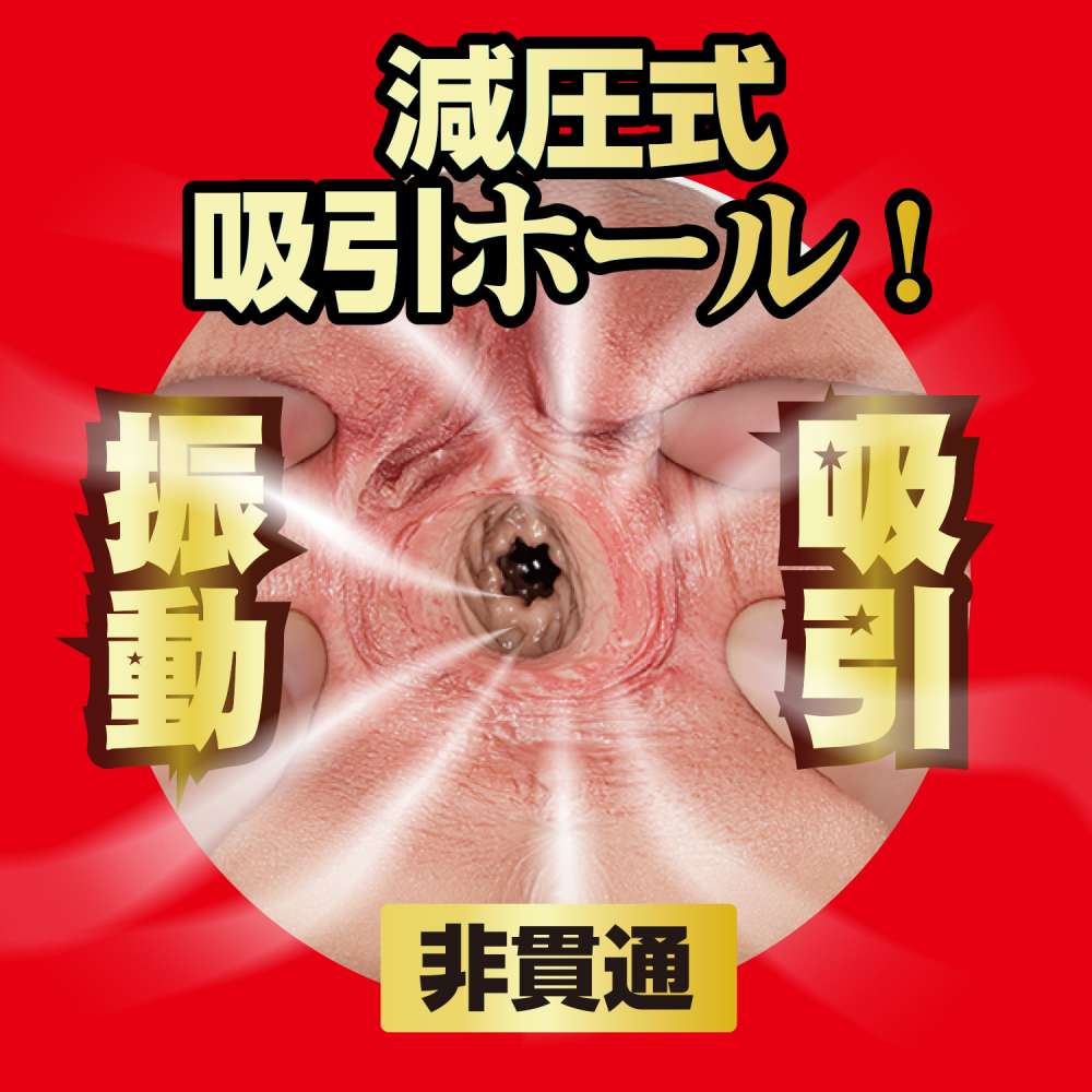 NPG - Rena Miyashita Vibro Suction Masturbator 1.5kg photo-8