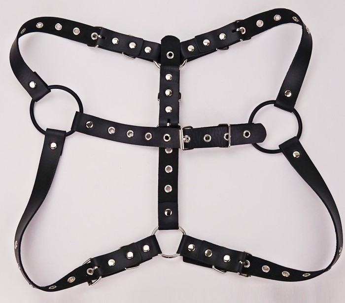 Play violently while wearing it!
Since it is supported by th... SSI - Nipple Dome Harness - Black photo-5