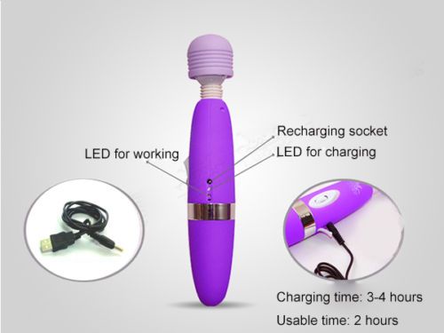 Luoge - 充電按摩器 - 紫色 照片