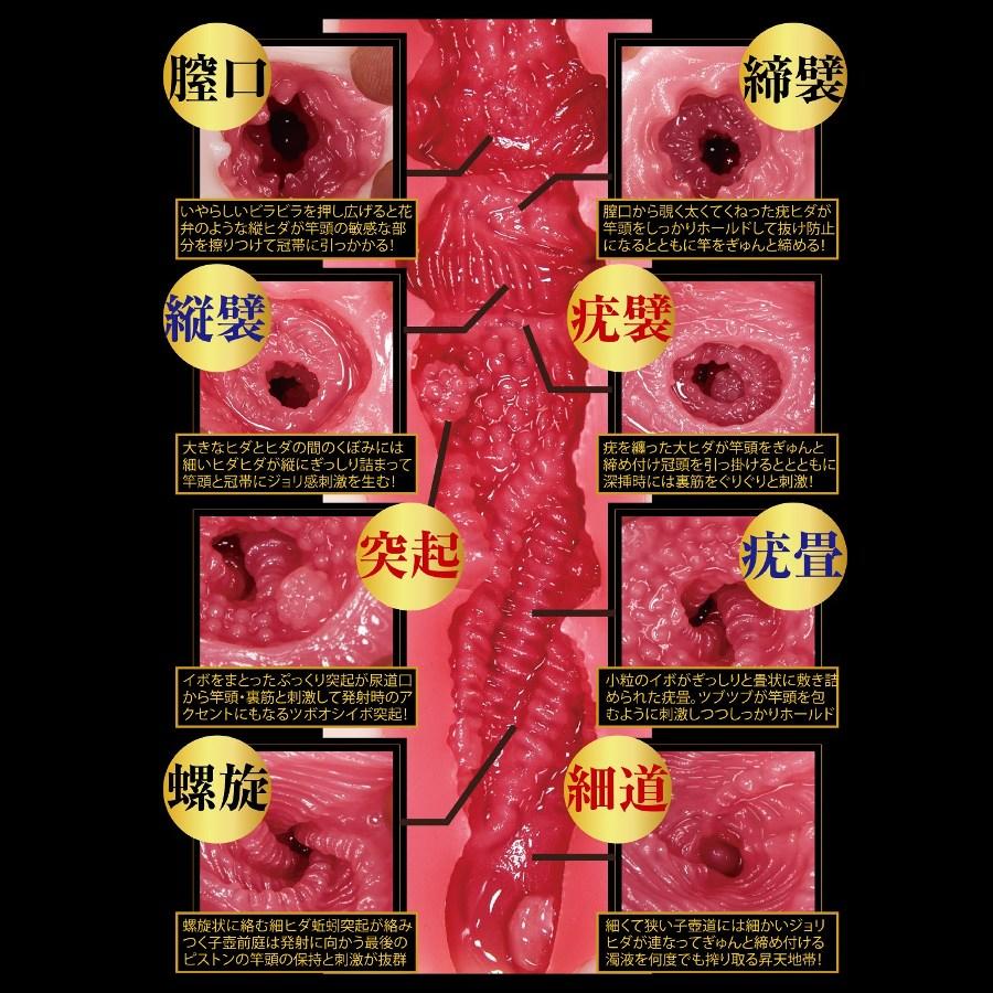 Watching Japanese porn is great, but have you ever wanted to... NPG - Amami Tsubasa Extreme Masturbator photo-2