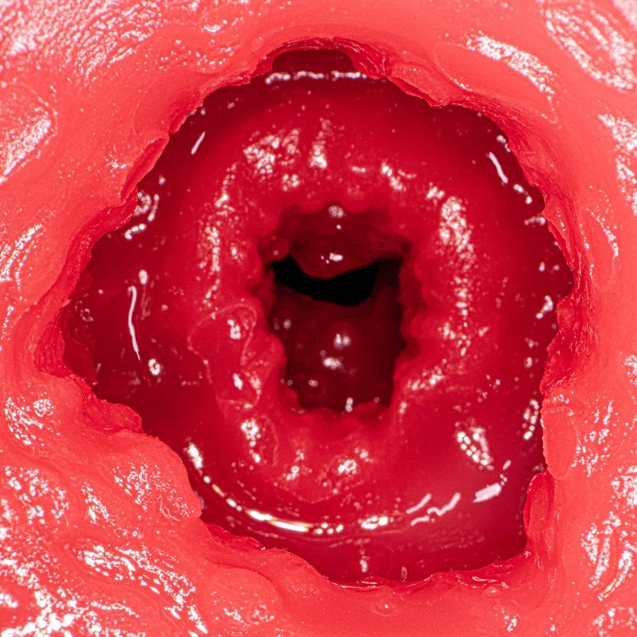 A complete reproduction of the secret parts of the lustrous ... NPG - Julia Secret Play Masturbator photo-10