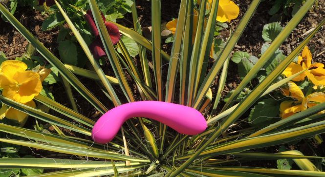 Some may say it is the perfect shape. However you describe i... Swan - Squeeze The Swan Curve - Pink photo-7