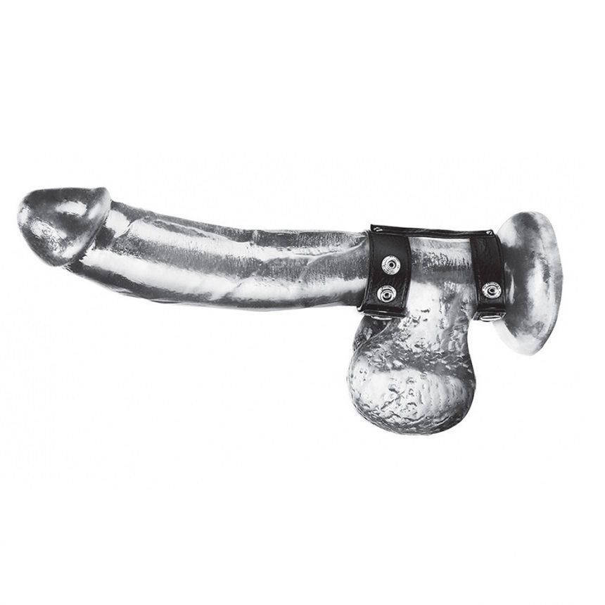 This duo snap cock and ball ring provides sexual stimulation... Blueline - Duo Snap Cock And Ball Ring photo-2