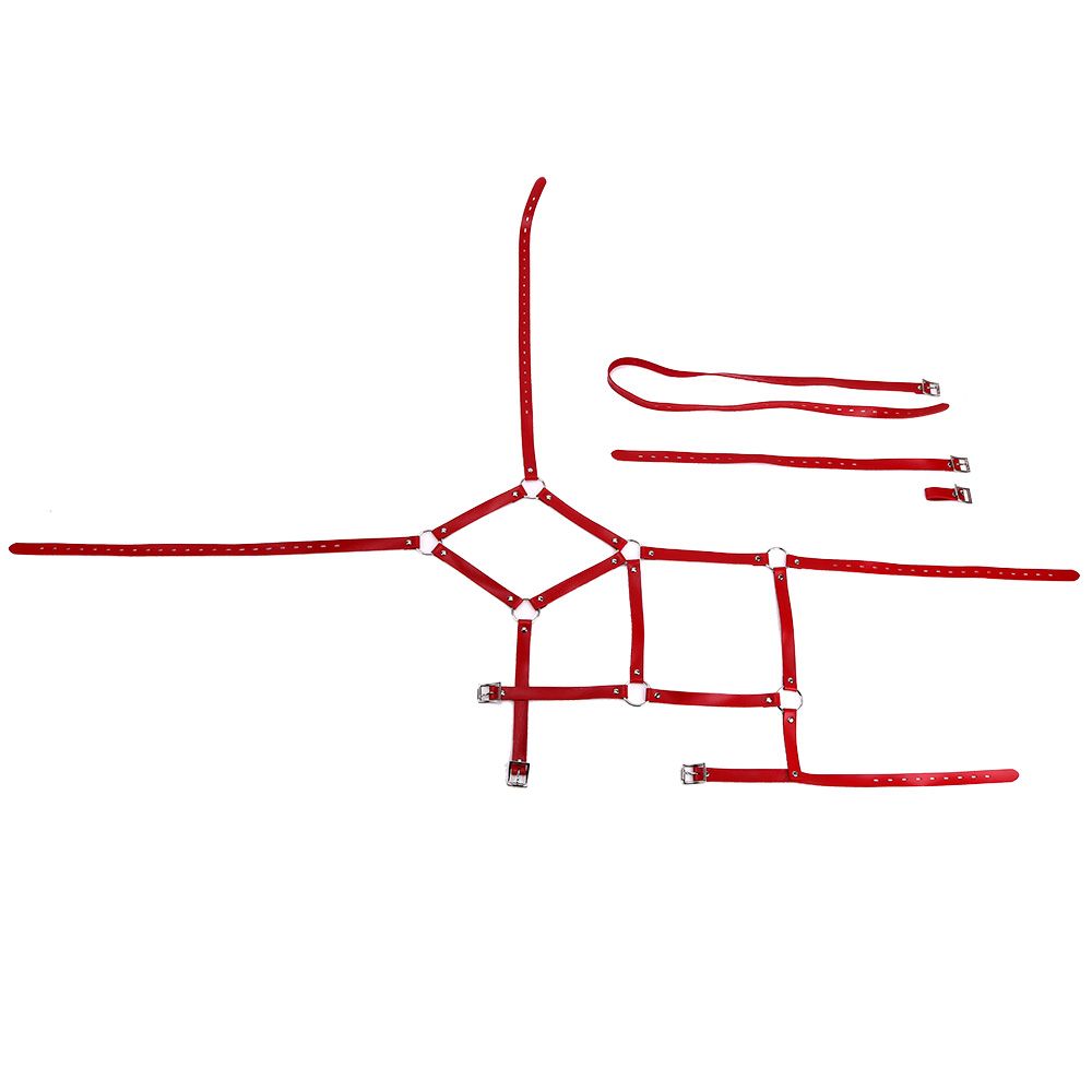 MT - Leather Body Harness 3 photo-3