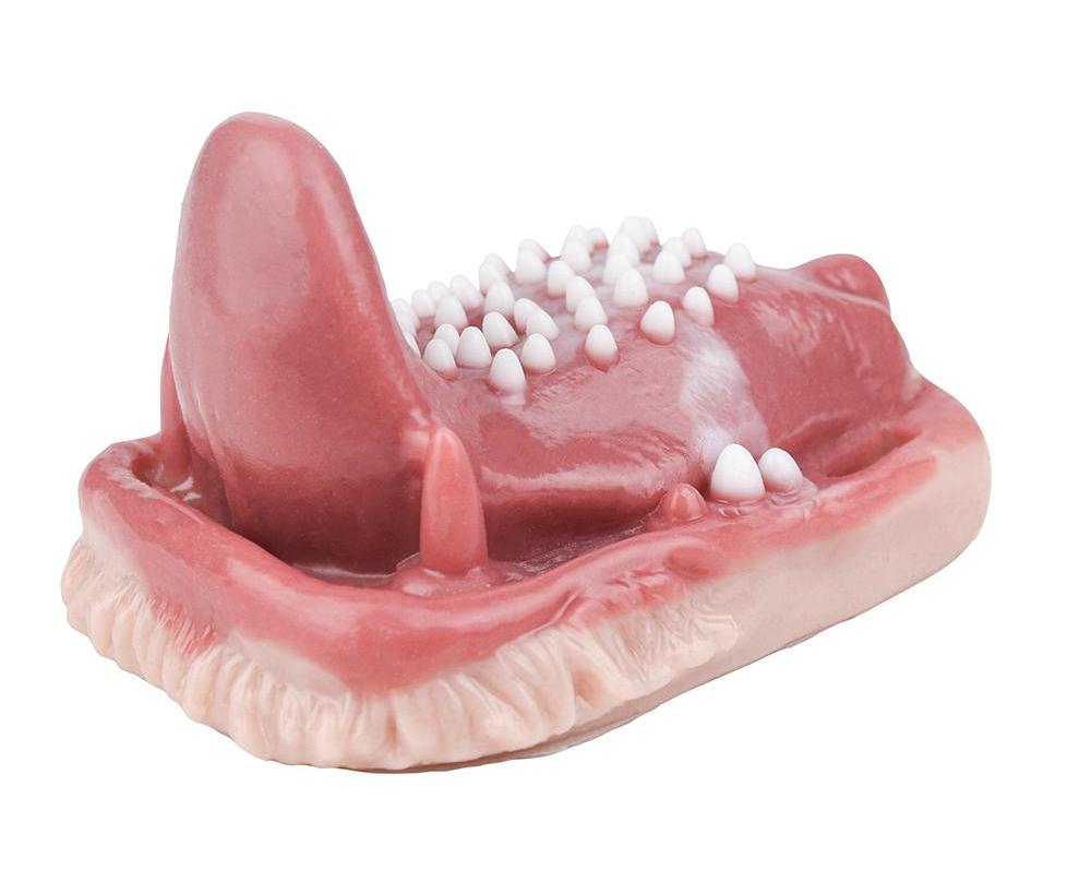 Fantasy realistic sex grinder
Length: 11.7cm
Width: 8.8cm
H... FAAK - Predator Vibro Grinder photo-3