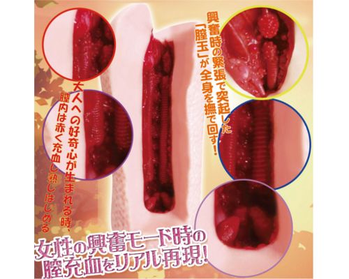 A-One -软飞机杯 照片