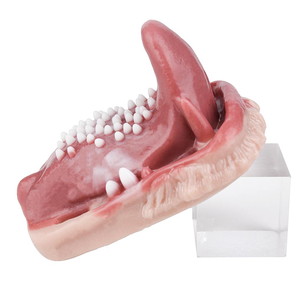 Fantasy realistic sex grinder
Length: 11.7cm
Width: 8.8cm
H... FAAK - Predator Vibro Grinder photo-12