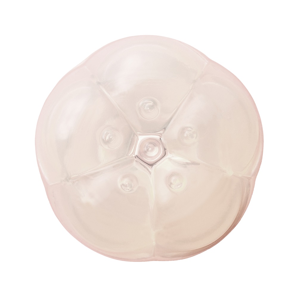 For those who are hesitant to try pleasure items, Tenga invi... Iroha - Petit Clitoral Massager - Plum photo-3