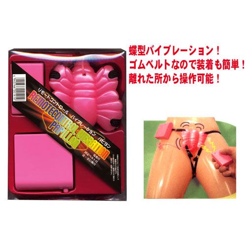 A-One - Remote Control Butterfly photo