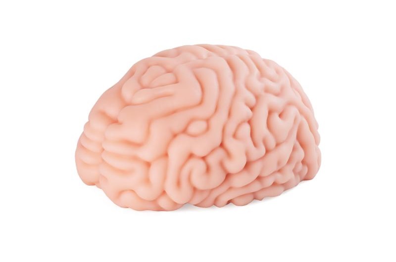 XTC - Brain Hacker DX Masturbator photo-7