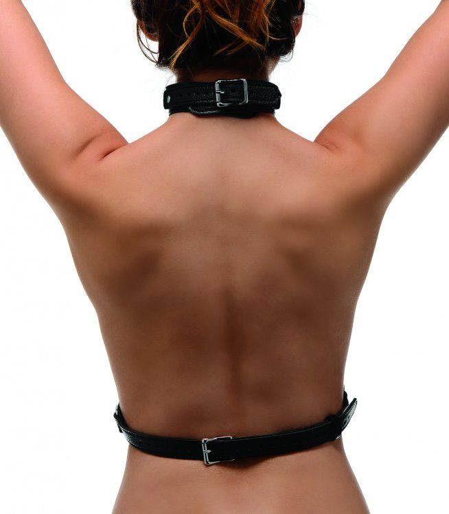 This attractive chest harness has three adjustable buckles t... Strict - Female Chest Harness - Black photo-2