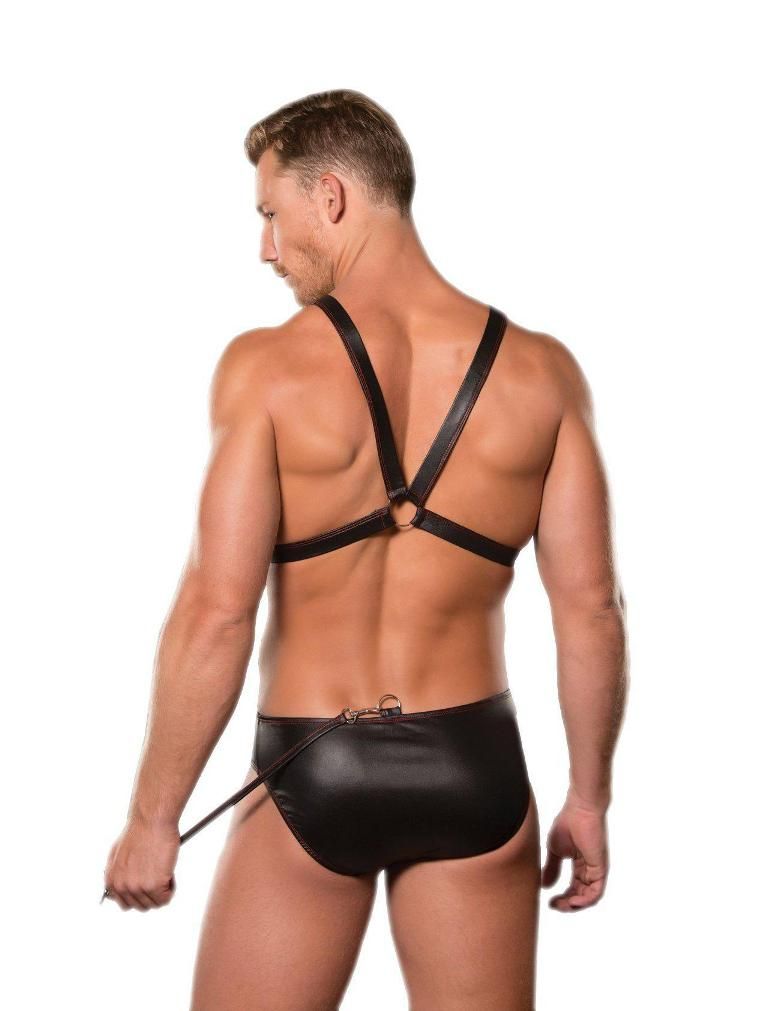 Allure Fearless Harness with metal ring joiners with detacha... Allure - Ring Harness & Thong - Black - L/XL photo-2