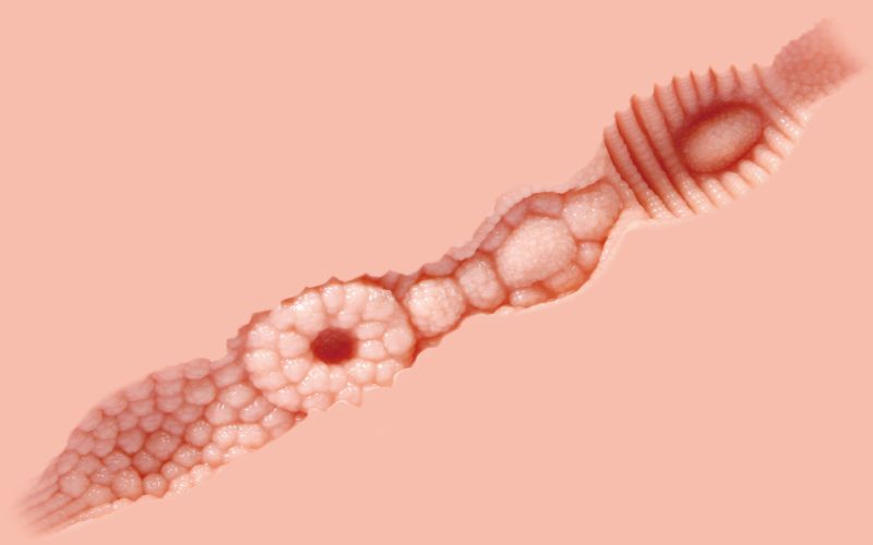 Kokos - Aurora - Mini Real Doll photo-2