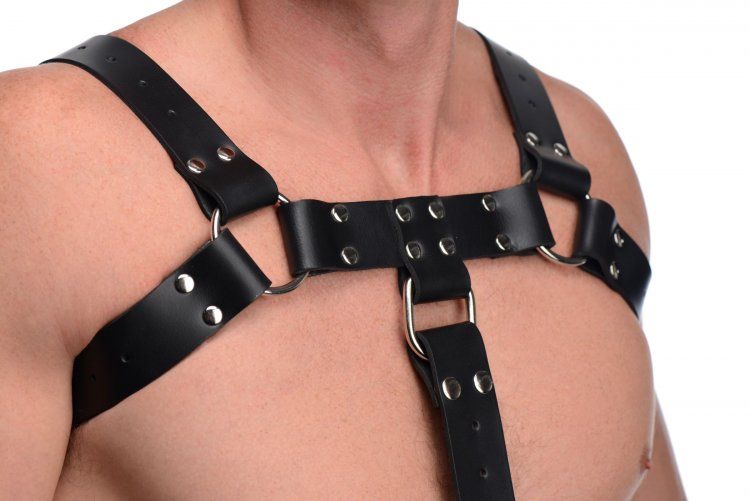 This fetish wear duo combines an enticing chest harness with... Strict Leather - English Bull Dog Harness w/Cock Strap - Black photo-3