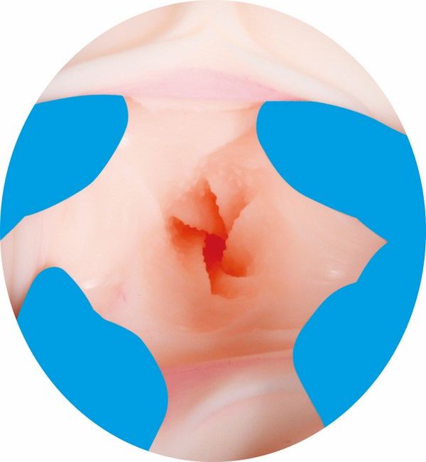 A-One - Japanese Goddess JULIA photo-5