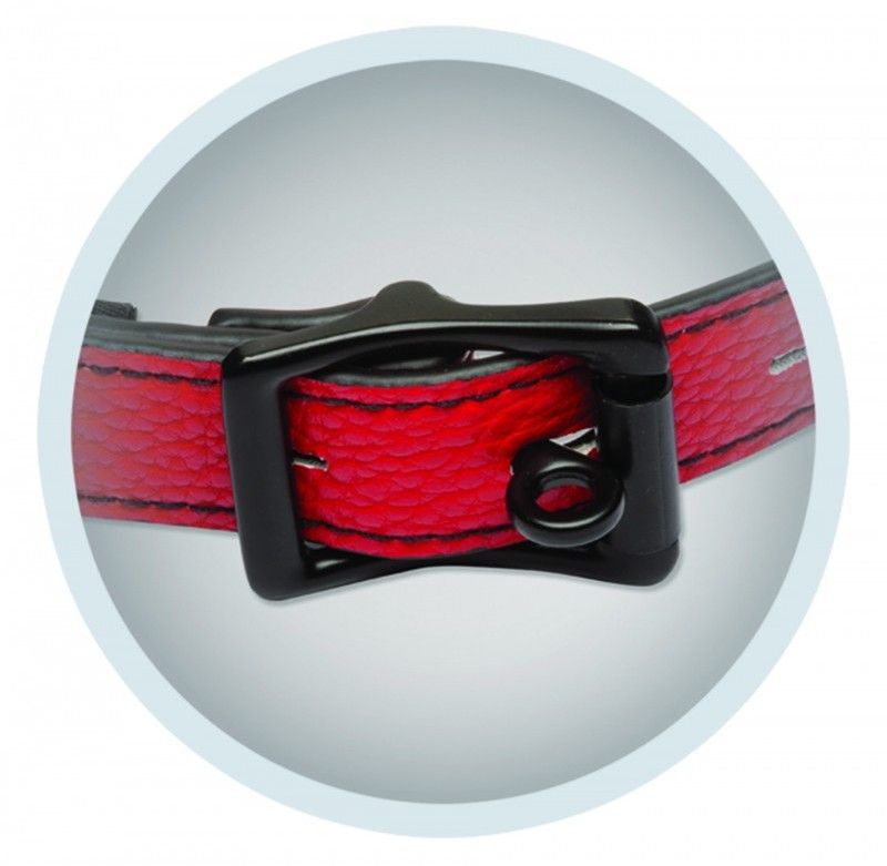 Doc Johnson - Leather and Silicone Ball Gag - Red photo-2