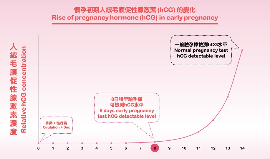 Biosynex - 早期懷孕快速測試 照片-3