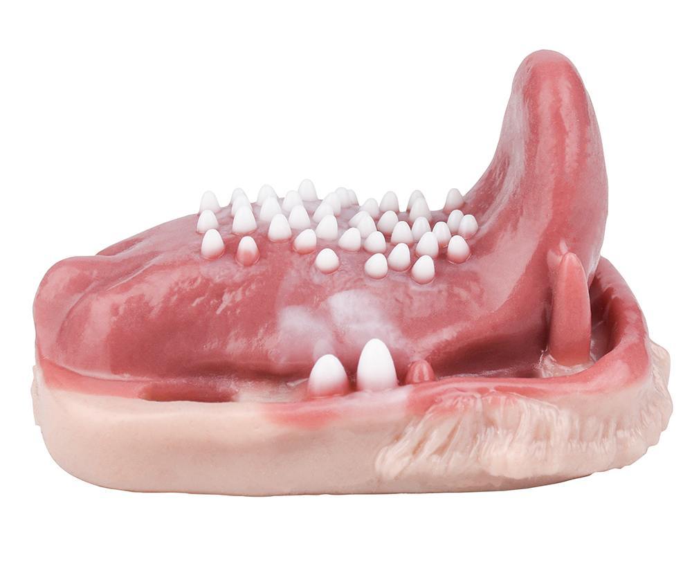 Fantasy realistic sex grinder
Length: 11.7cm
Width: 8.8cm
H... FAAK - Predator Vibro Grinder photo-4