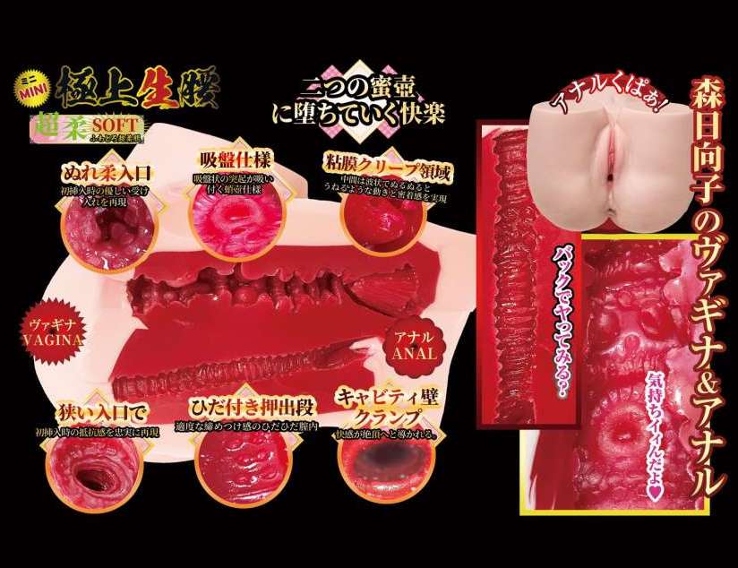 NPG - Mori Hinako Mini Hips Masturbator 2kg 照片-4