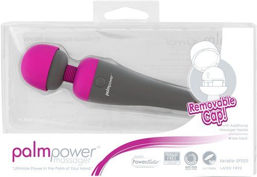 Palmpower - Massager - Fuschia - Wireless Adapter-charging photo