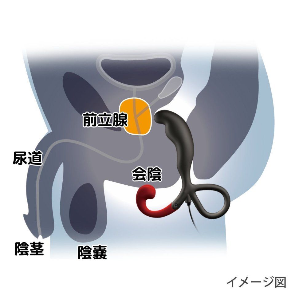 To facilitate deep pleasure it adopted a movable arm of 3 st... SSI - Enemable Type-1 Anal Vibe photo-12