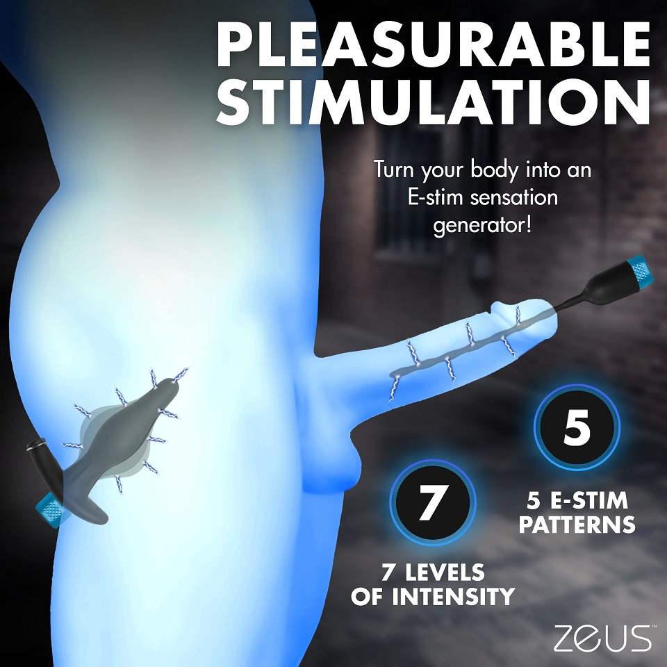 Zeus Electrosex - Inflatable Plug & Urethral Sound E-Stim Kit 照片-3