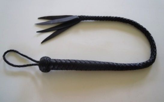 Zorbo - Heavy Saddle Leather Whip 1 photo