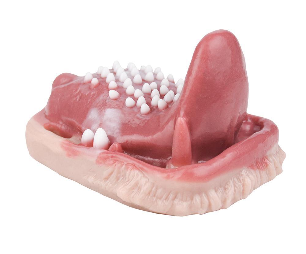 Fantasy realistic sex grinder
Length: 11.7cm
Width: 8.8cm
H... FAAK - Predator Vibro Grinder photo-7