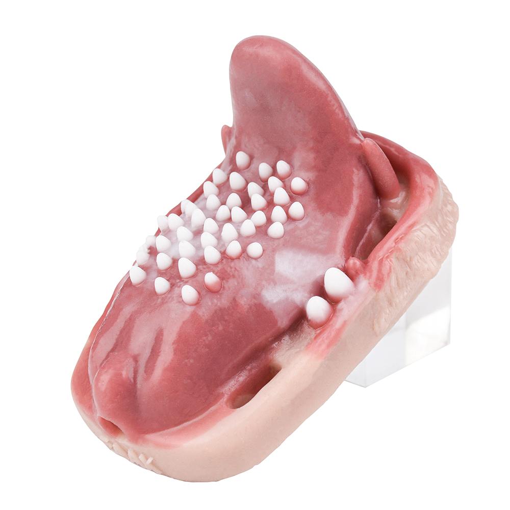 Fantasy realistic sex grinder
Length: 11.7cm
Width: 8.8cm
H... FAAK - Predator Vibro Grinder photo-11