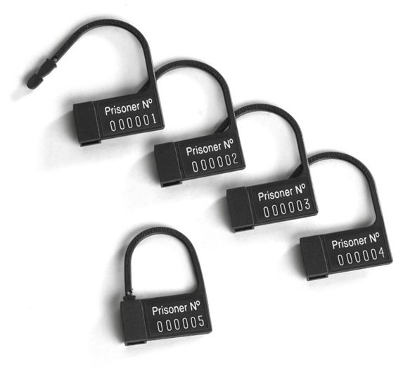 Your days of sexual liberty are over. The Pubic Enemy No1 wi... Mystim - Pubic Enemy No 1 Electro Cock Cage - Silver photo-3