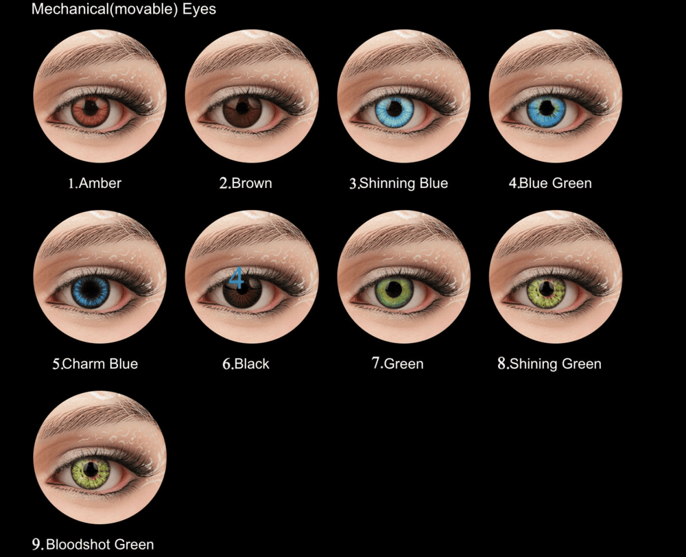 image (2).png image (2).png