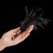 For teasing and titillating your way to ecstasy, the TANTRA ... Lelo - Tantra - Black photo-4