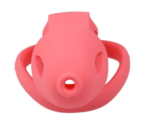 FAAK - Long Resin Chastity Cage - Red 照片