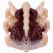 FAAK - Soul Embracer Masturbator - Flesh/Red 照片-4