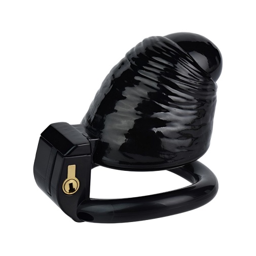 FAAK - Dick Resin Chastity Cage S - Black photo