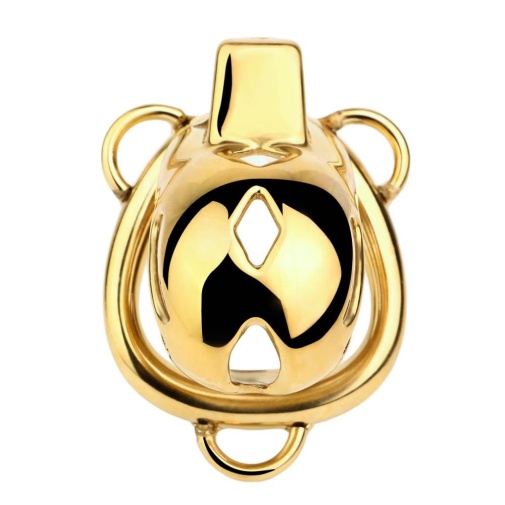 FAAK - Chastity Cage 184 w Belt & Plug - Gold 照片