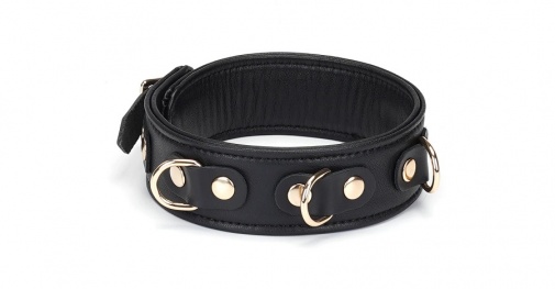 Liebe Seele - Leather Collar w Leash - Dark Secret photo